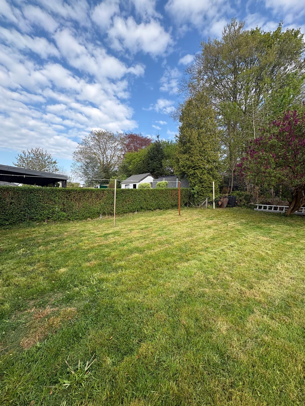 Jardin tondu après intervention